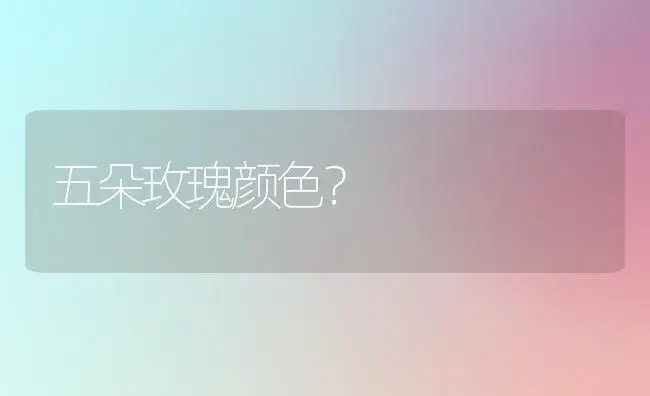 五朵玫瑰颜色？ | 绿植常识