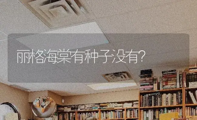 丽格海棠有种子没有？ | 绿植常识