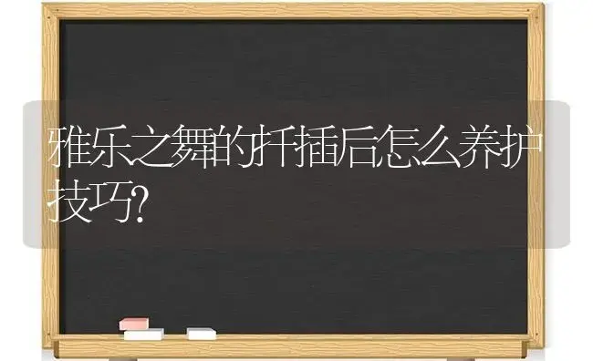 雅乐之舞的扦插后怎么养护技巧？ | 多肉养殖