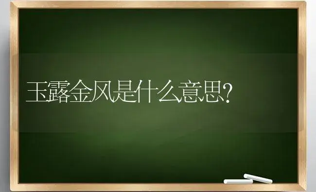 玉露金风是什么意思？ | 多肉养殖