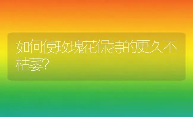 如何使玫瑰花保持的更久不枯萎？ | 绿植常识