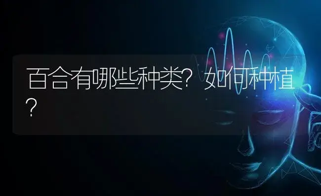 百合有哪些种类？如何种植？ | 特种种植