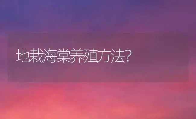 亚当海棠盆景适合用深盆还是浅盆？ | 绿植常识