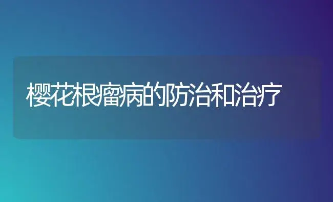 樱花根瘤病的防治和治疗 | 家庭养花