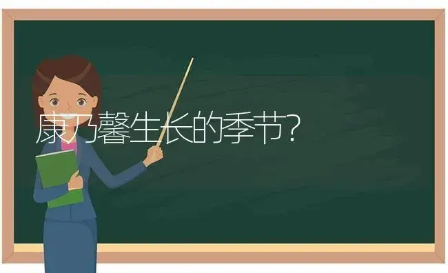 康乃馨生长的季节？ | 绿植常识