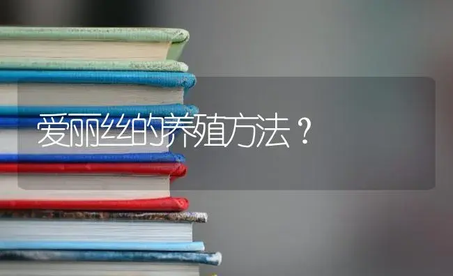 爱丽丝的养殖方法？ | 多肉养殖