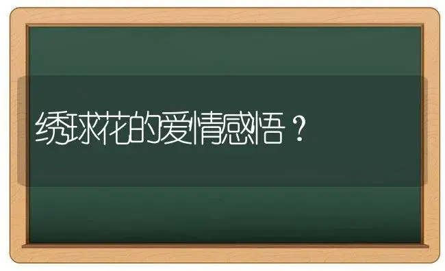 绣球花的爱情感悟？ | 绿植常识