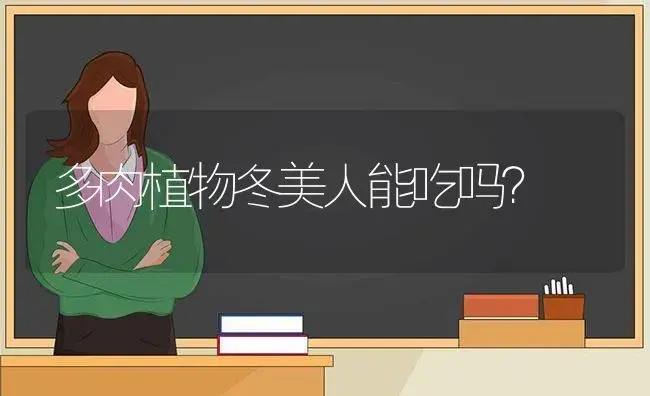 多肉植物冬美人能吃吗？ | 多肉养殖