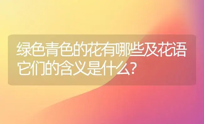 绿色青色的花有哪些及花语它们的含义是什么？ | 绿植常识