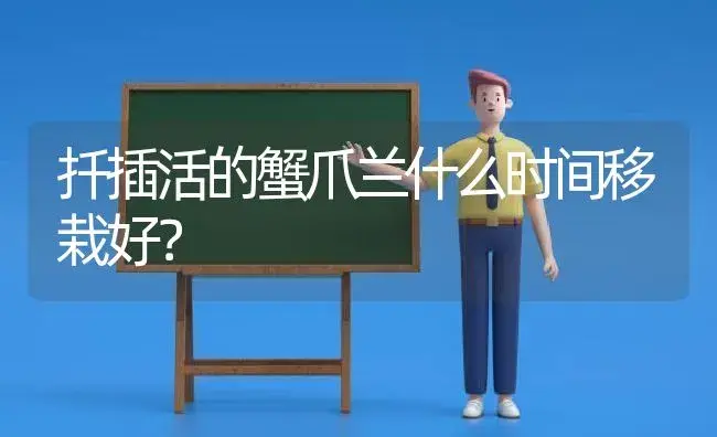 扦插活的蟹爪兰什么时间移栽好？ | 多肉养殖