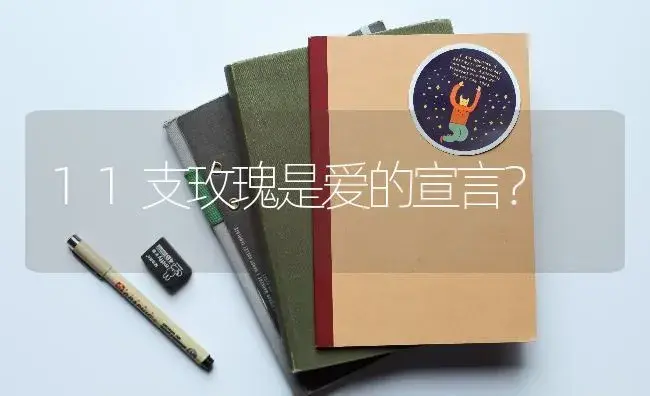 11支玫瑰是爱的宣言？ | 绿植常识