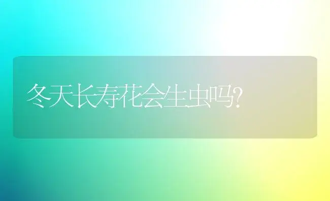 冬天长寿花会生虫吗？ | 多肉养殖