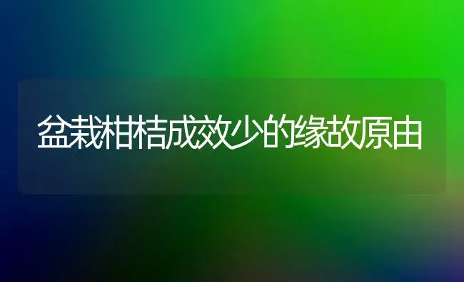 盆栽柑桔成效少的缘故原由 | 家庭养花