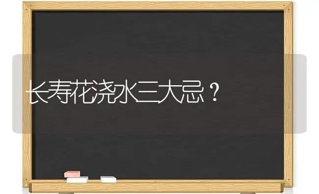 长寿花浇水三大忌？ | 多肉养殖