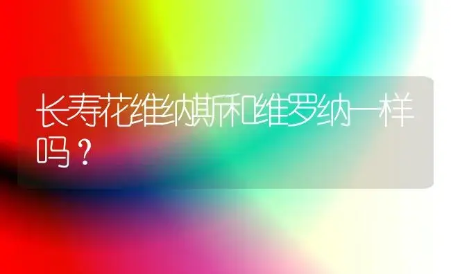 长寿花维纳斯和维罗纳一样吗？ | 多肉养殖