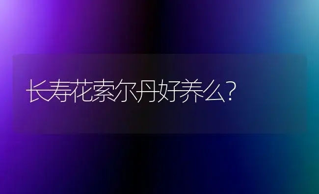 长寿花索尔丹好养么？ | 多肉养殖