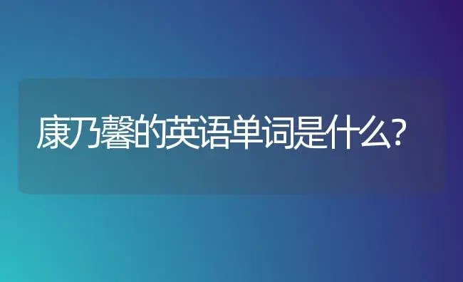 康乃馨的英语单词是什么？ | 绿植常识