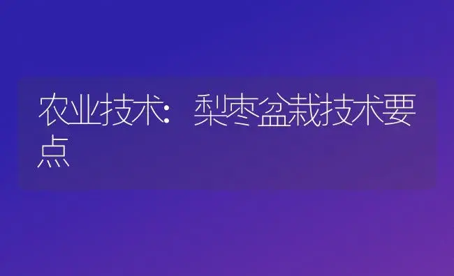 农业技术:梨枣盆栽技术要点 | 家庭养花