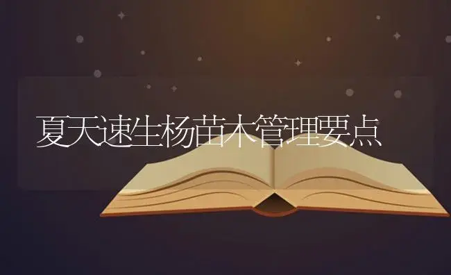 夏天速生杨苗木管理要点 | 特种种植