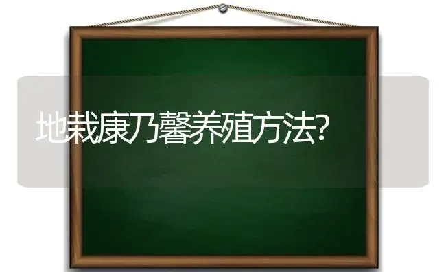 地栽康乃馨养殖方法？ | 绿植常识