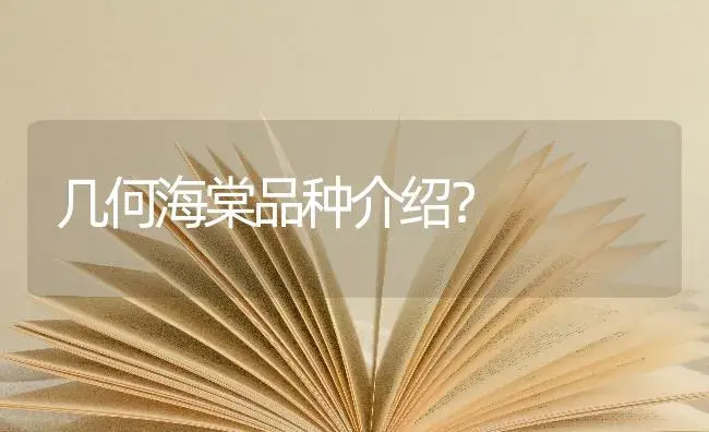 几何海棠品种介绍？ | 绿植常识