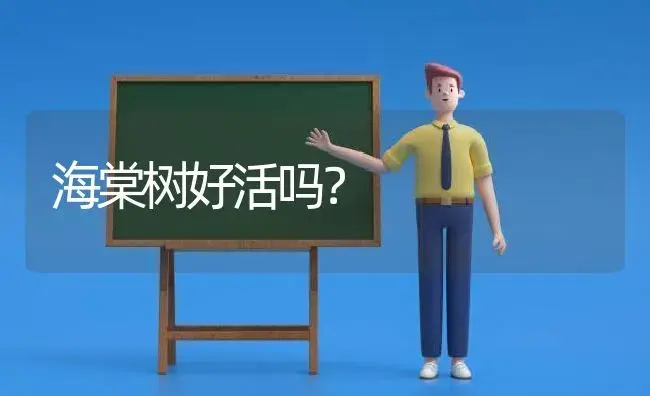 女孩送男孩满天星寓意是什么？ | 绿植常识