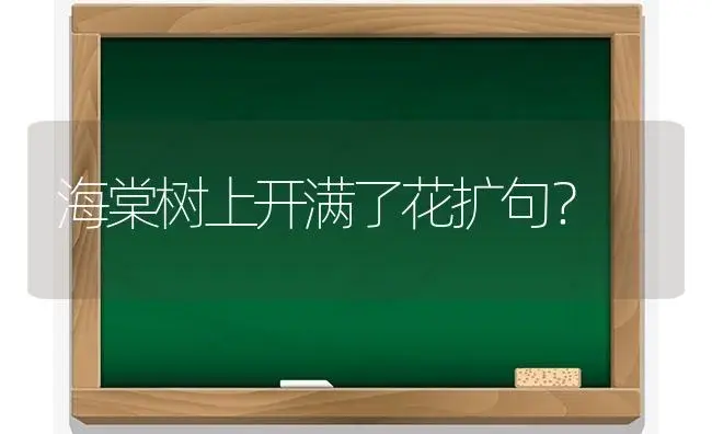 海棠树上开满了花扩句？ | 绿植常识