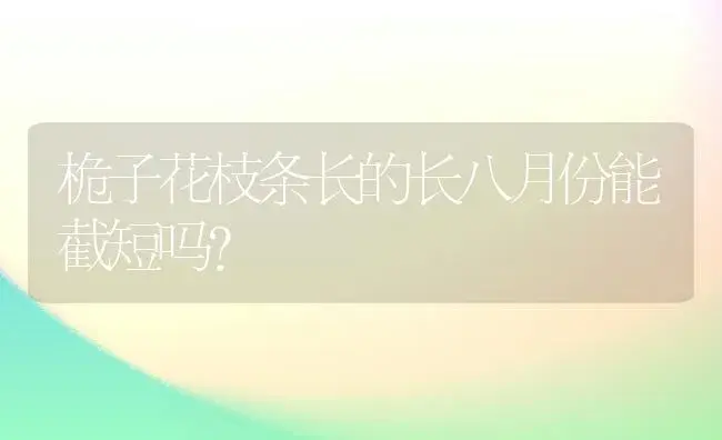 桅子花枝条长的长八月份能截短吗？ | 绿植常识