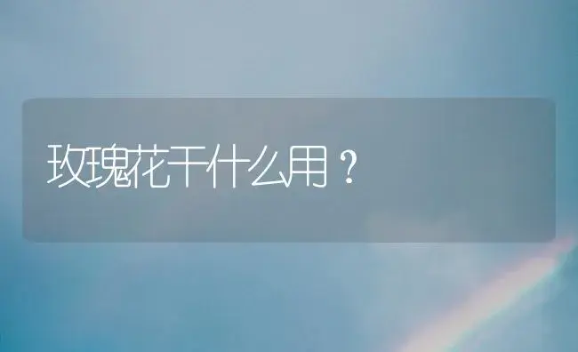 无尽夏8月份种植能活吗？ | 绿植常识