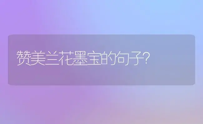 赞美兰花墨宝的句子？ | 绿植常识