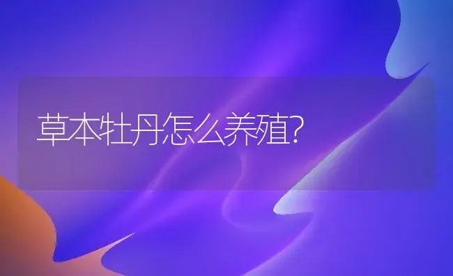 草本牡丹怎么养殖？ | 家庭养花