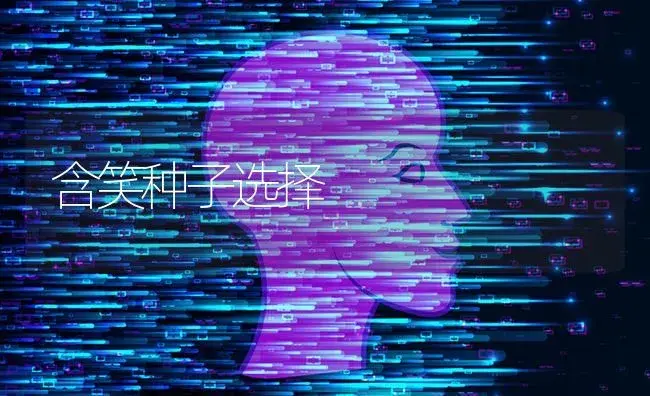 含笑种子选择 | 特种种植