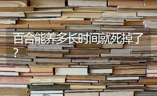 百合能养多长时间就死掉了？ | 绿植常识