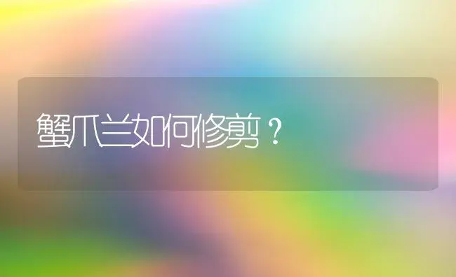 蟹爪兰如何修剪？ | 多肉养殖