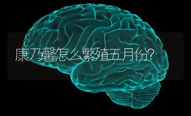 康乃馨怎么繁殖五月份？ | 绿植常识