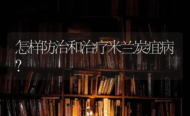 怎样防治和治疗米兰炭疽病？ | 特种种植