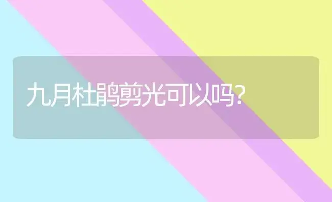 九月杜鹃剪光可以吗？ | 绿植常识