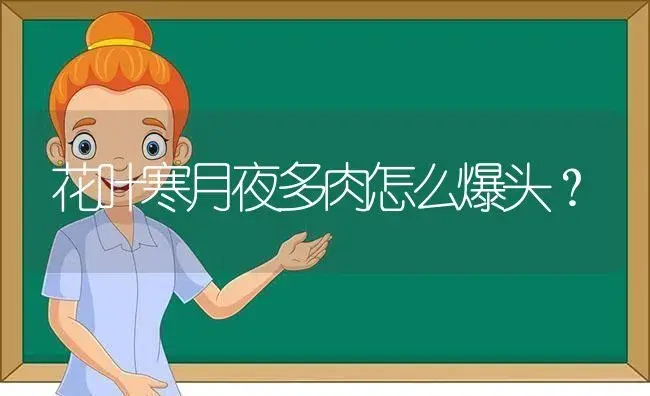 花叶寒月夜多肉怎么爆头？ | 多肉养殖