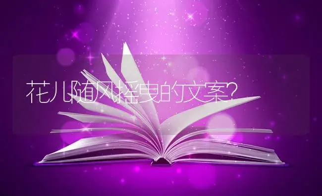 花儿随风摇曳的文案？ | 绿植常识