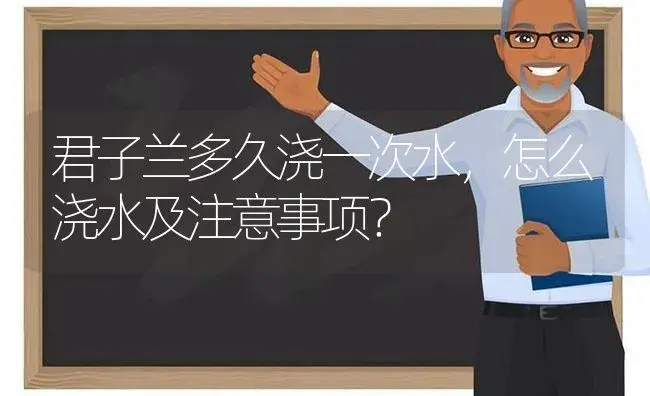 君子兰多久浇一次水，怎么浇水及注意事项？ | 绿植常识