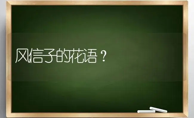 风信子的花语？ | 绿植常识