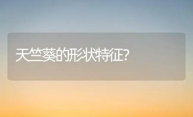 天竺葵的形状特征？ | 家庭养花