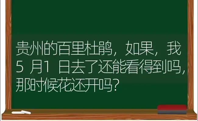 贵州的百里杜鹃，如果，我5月1日去了还能看得到吗，那时候花还开吗？ | 绿植常识