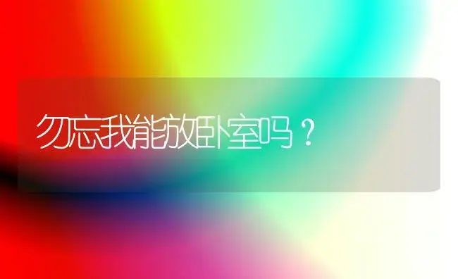 勿忘我能放卧室吗？ | 绿植常识