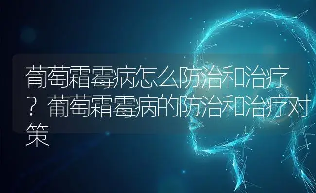 葡萄霜霉病怎么防治和治疗？葡萄霜霉病的防治和治疗对策 | 果木种植