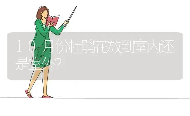 10月份杜鹃花放到室内还是室外？ | 绿植常识