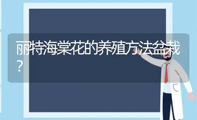 丽特海棠花的养殖方法盆栽？ | 绿植常识