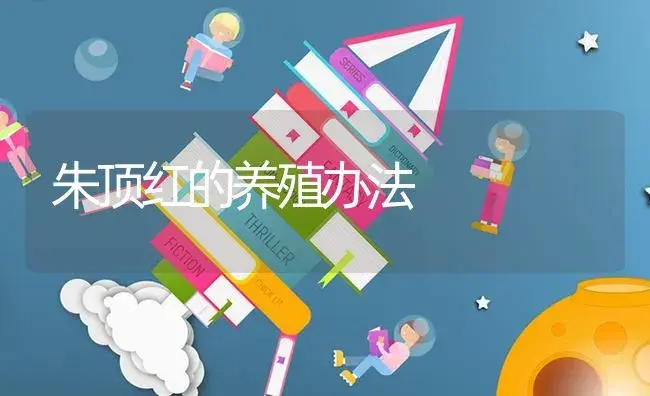 朱顶红的养殖办法 | 特种种植