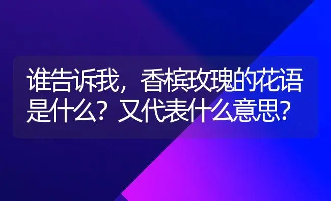 谁告诉我，香槟玫瑰的花语是什么？又代表什么意思？ | 绿植常识