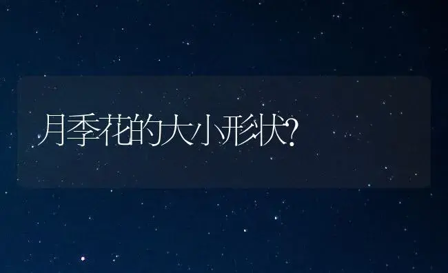 月季花的大小形状？ | 绿植常识